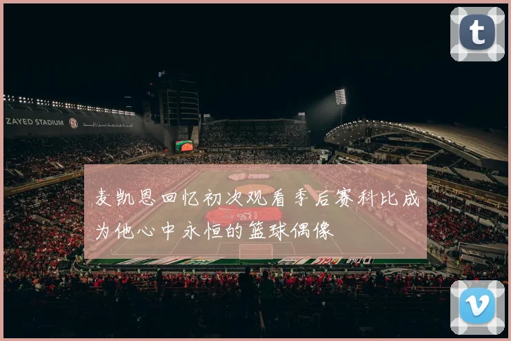 麦凯恩回忆初次观看季后赛科比成为他心中永恒的篮球偶像